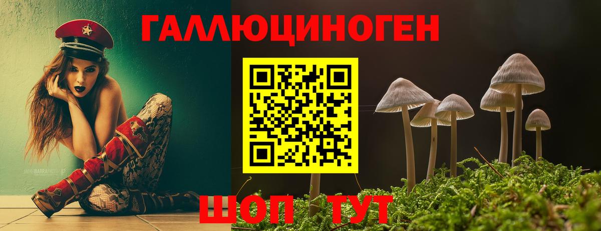 Галлюциногенные грибы Cubensis  Вход с VPN  как найти закладки  Мурино 